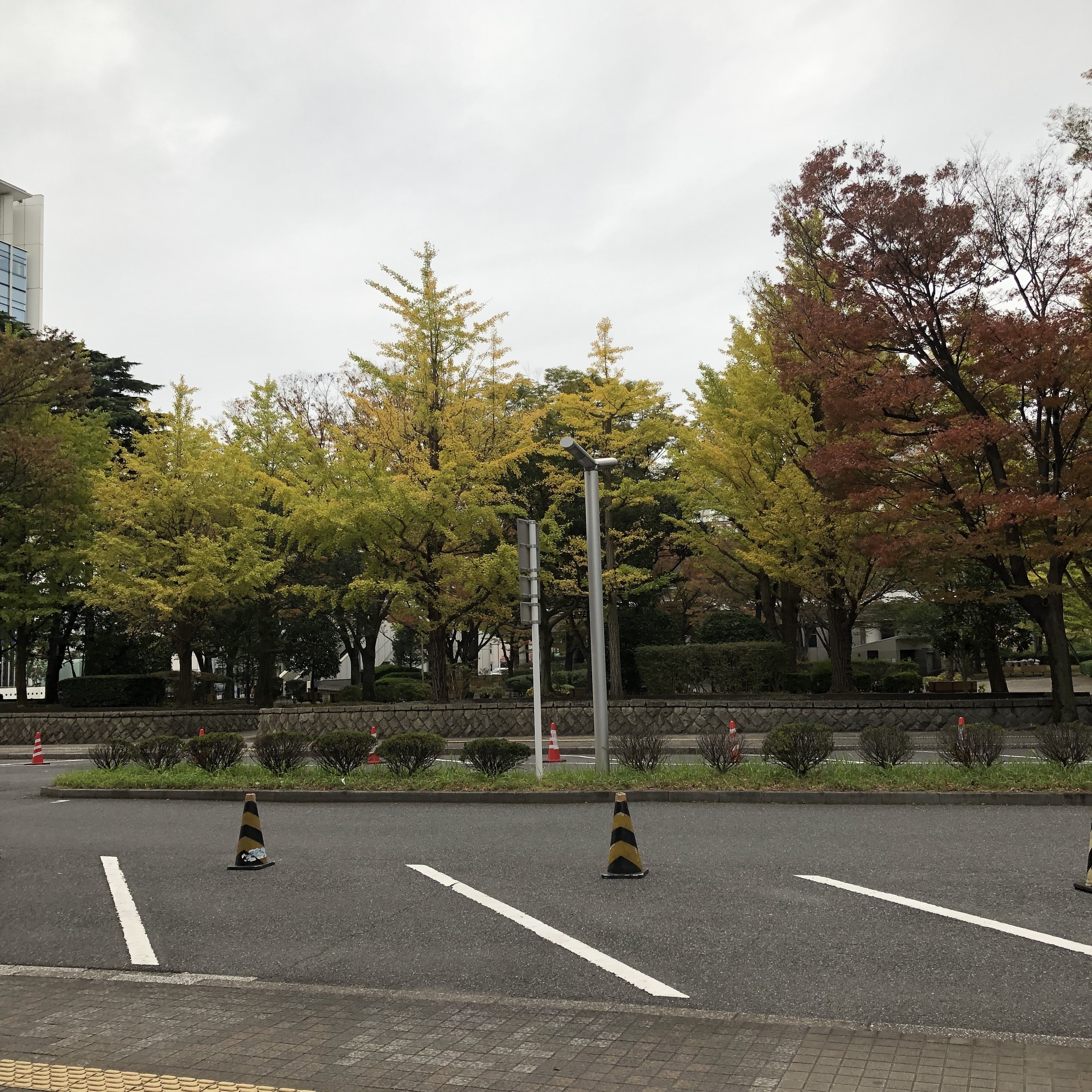 R31101