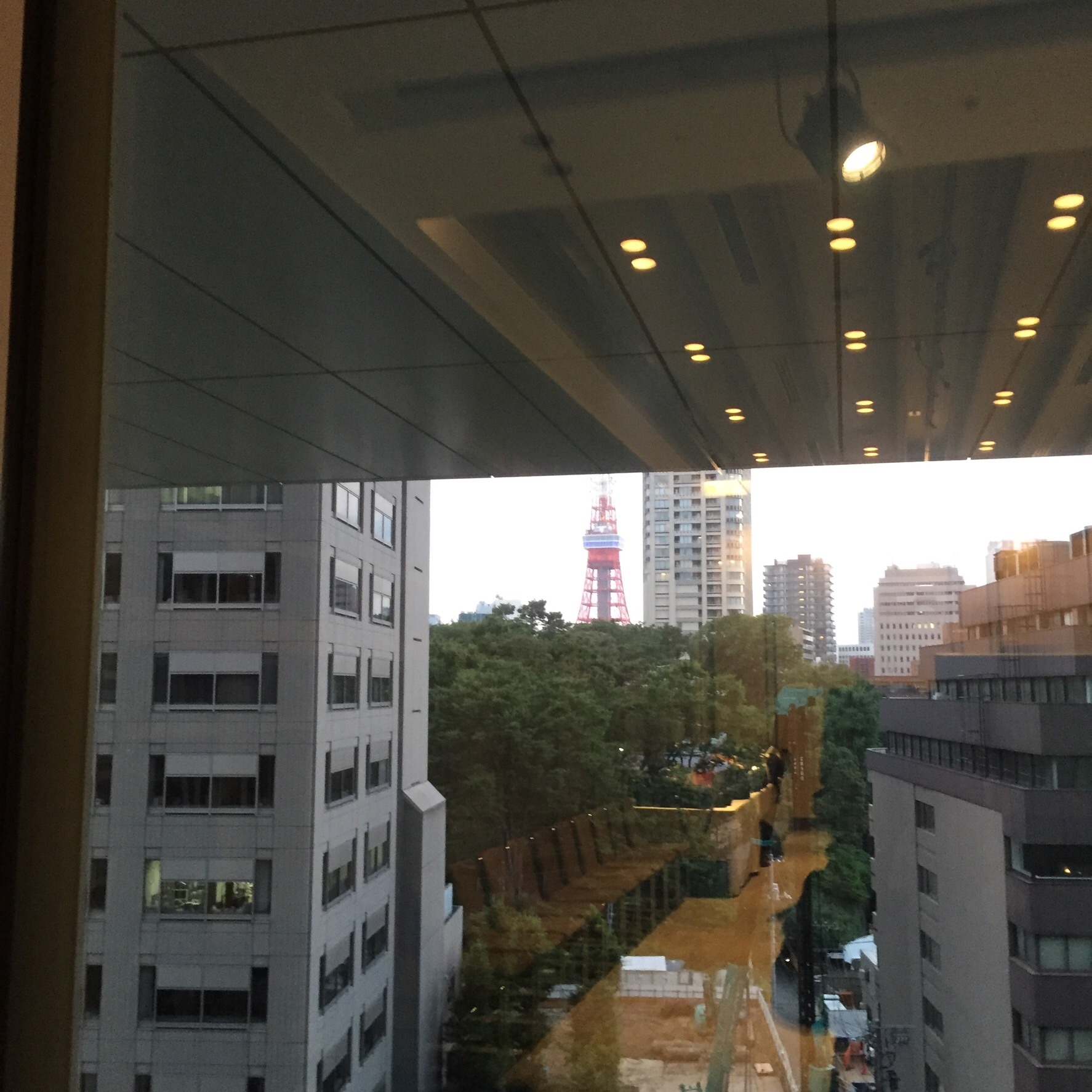 ＬＤＨ５