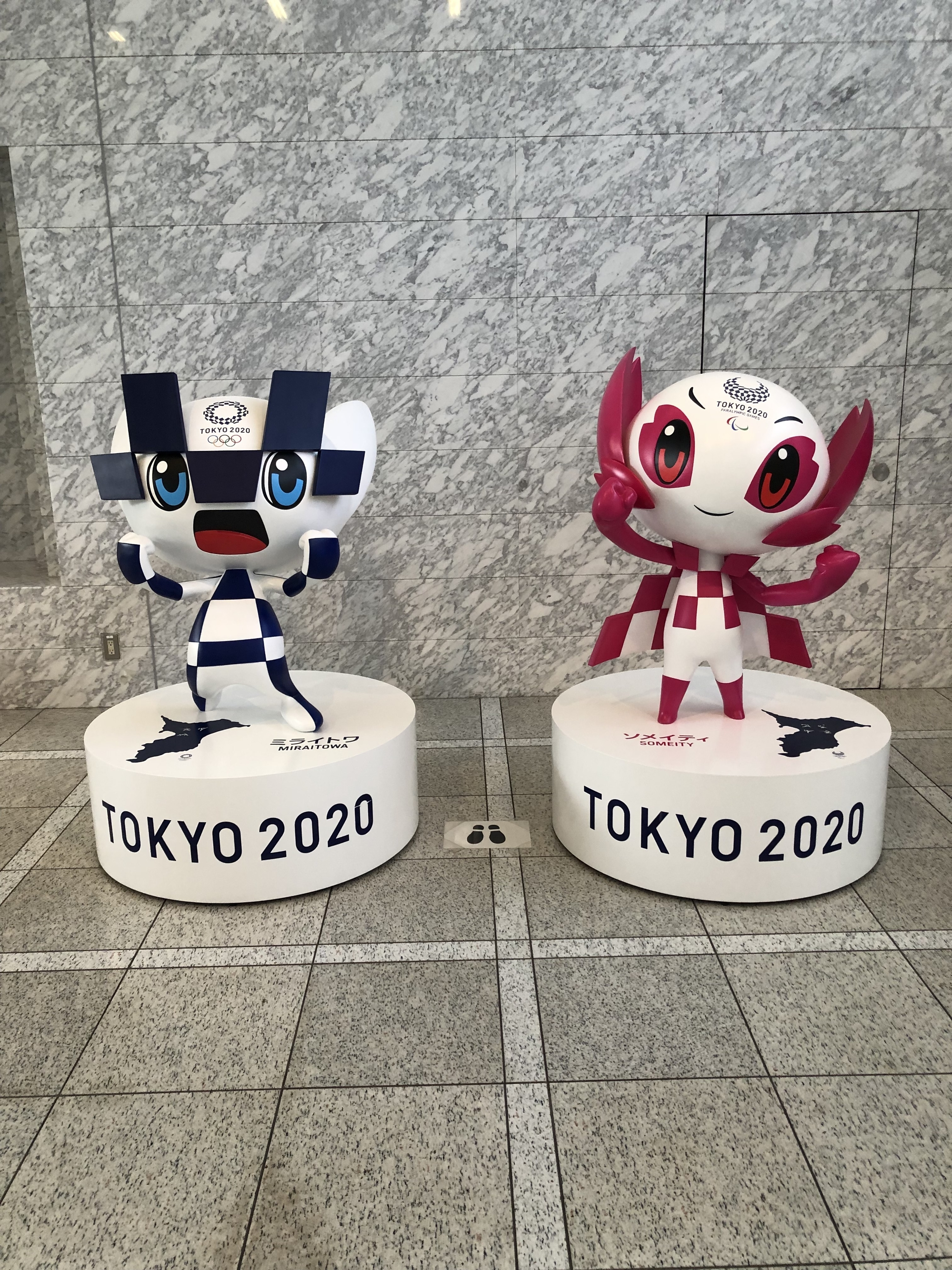 R306031