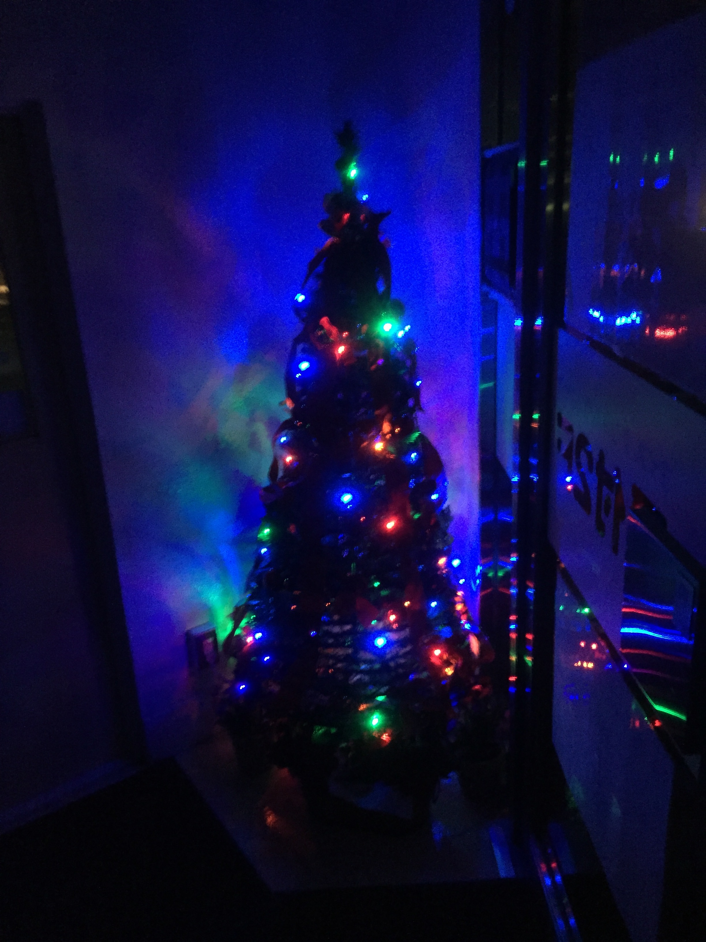 クリスマスツリー
